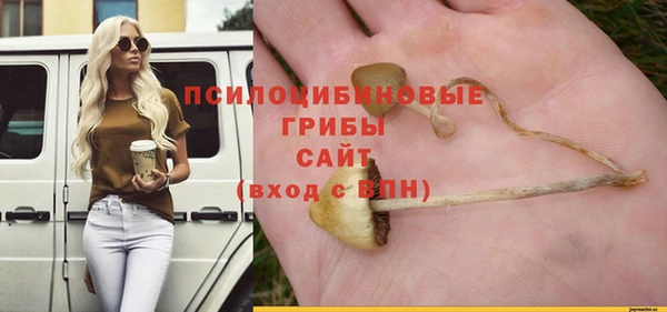 мяу мяу мука Белоозёрский