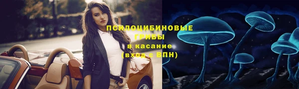 круглые Осташков