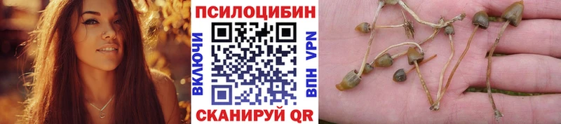 ОМГ ОМГ tor  купить наркотики сайты  Островной  Псилоцибиновые грибы мицелий 